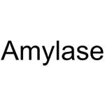 Amylase