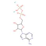 Adenosine 5’-diphosphate dipotassium salt; ADP-K2; 5'-ADP-K2