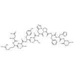 Angiotensin I (human, mouse, rat)