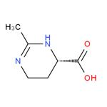 ectoine 