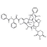 10-Deacetyl-7-xylosyl paclitaxel