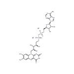 Flavin adenine dinucleotide disodium salt pictures