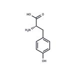 L-Tyrosine