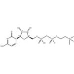 Citicoline