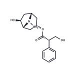 Anisodamine