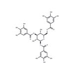 1,3,6-Tri-O-galloyl-beta-D-glucose