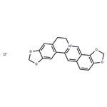 Coptisine chloride