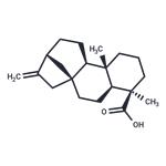 Kaurenoic acid