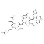 Angiotensin (1-7)