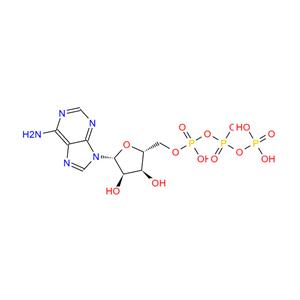 Adenosine triphosphate