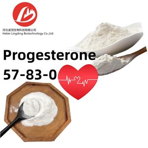 Progesterone