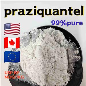 praziquantel