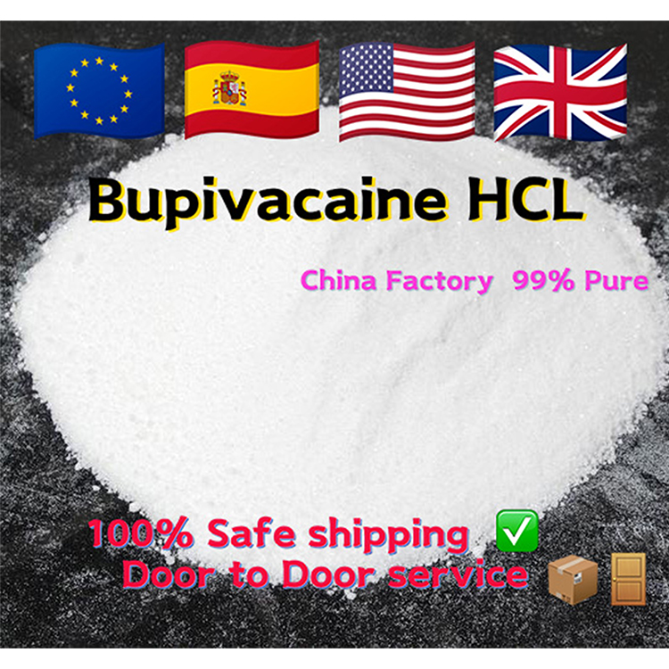 Bupivacaine hydrochloride