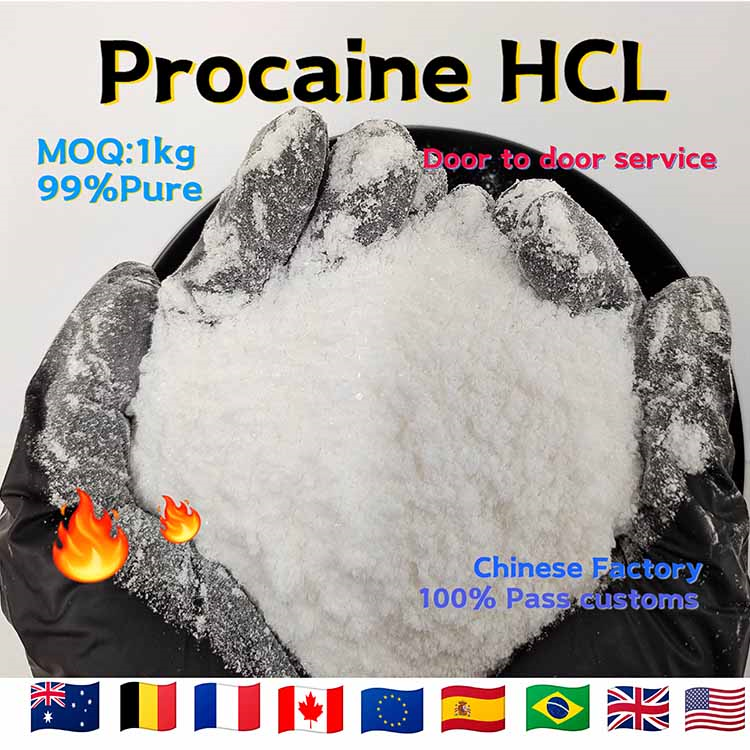 Procaine hydrochloride