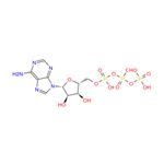 Adenosine triphosphate