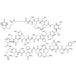 BIOTINYL-EPSILONAHX-CYS-LYS-SER-HYP-GLY-SER-SER-CYS-SER-HYP-THR-SER-TYR-ASN-CYS-CYS-ARG-SER-CYS-ASN-HYP-TYR-THR-LYS-ARG-CYS-TYR-NH2