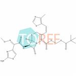 Cefditoren Pivoxil Impurity 4