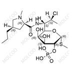 Clindamycin Phosphate α Isomer