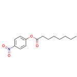 4-Nitrophenyl octanoate