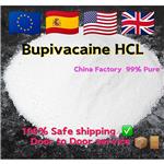 Bupivacaine hydrochloride