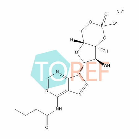 Bucladesine Impurity 2