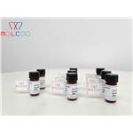 Valaciclovir EP Impurity P