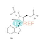 Bucladesine Impurity 5