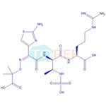 Aztreonam and Arginine Polymerization Impurity 2