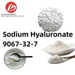 Sodium hyaluronate