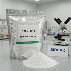 Bupivacaine HCl