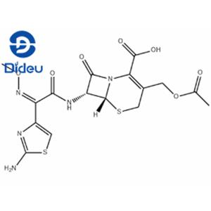 Cefotaxime