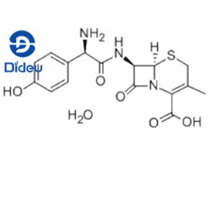 Cefadroxil