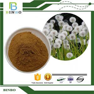 Dandelion Extract