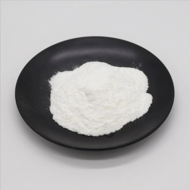 Lactobacillus delbrueckii subsp.bulgaricus