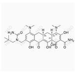  N-amidomacycline