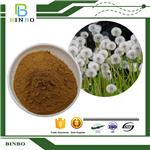 Dandelion Extract