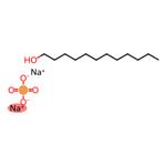 Anionic Surfactant