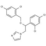 22916-47-8 Miconazole