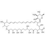 1400-61-9 Nystatin