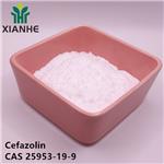 Cefazolin