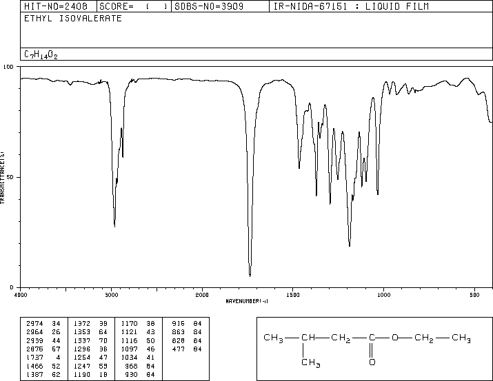 Ethyl isovalerate(108-64-5) <sup>13</sup>C NMR