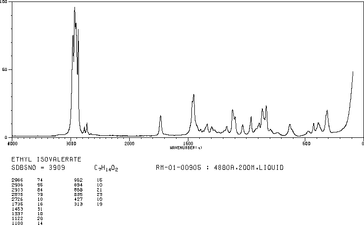 Ethyl isovalerate(108-64-5) <sup>13</sup>C NMR