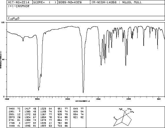 D-CAMPHOR(464-49-3) MS