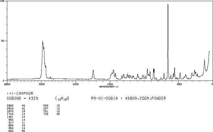 D-CAMPHOR(464-49-3) MS