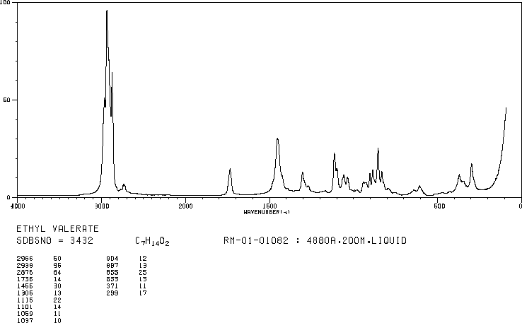 Ethyl valerate(539-82-2) IR1