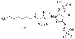 N6-(6-AMINOHEXYL)ADENOSINE 2',5'-DIPHOSPHATE LITHIUM SALT Struktur