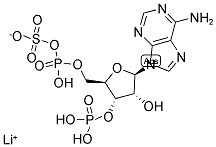 3'-PHOSPHOADENOSINE 5'-PHOSPHOSULFATE LITHIUM SALT Struktur