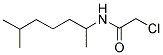 2-CHLORO-N-(1,5-DIMETHYLHEXYL)ACETAMIDE Struktur