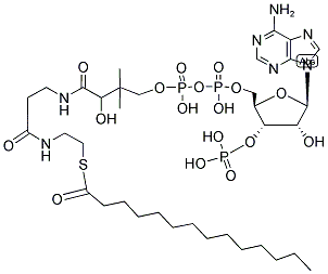 MYRISTOYL COENZYME A Struktur