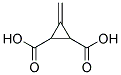 3-METHYLENE-CYCLOPROPANE-1,2-DICARBOXYLIC ACID Struktur